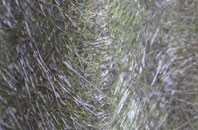 Chelmick fibreglass roof work